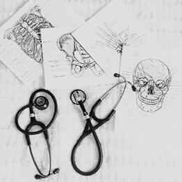 anatomy w wren